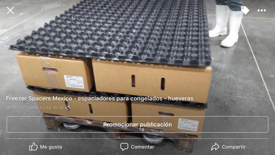 50311029-344594633042655-1855376569942409216-n.jpg